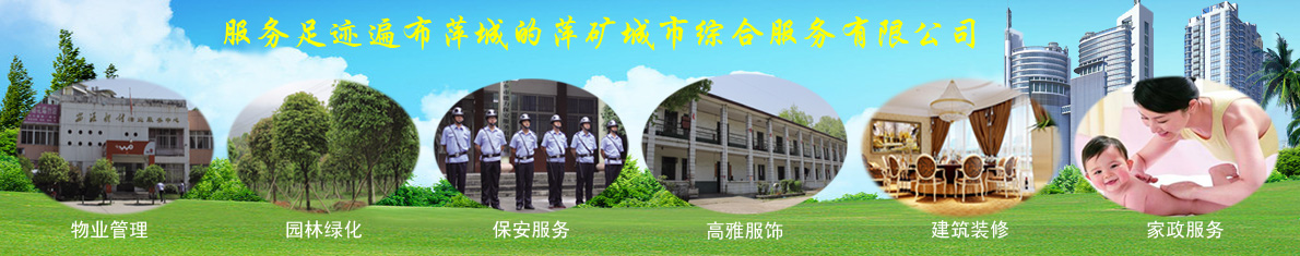 N-甲基二環(huán)己胺在制備聚氨酯粘合劑和涂料中的應(yīng)用