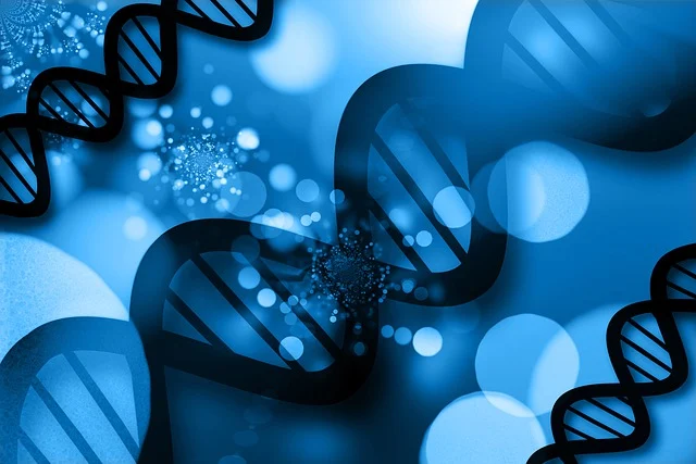 雙(二甲氨基丙基)異丙醇胺在汽車座椅、內(nèi)飾件和床墊制造中的應(yīng)用